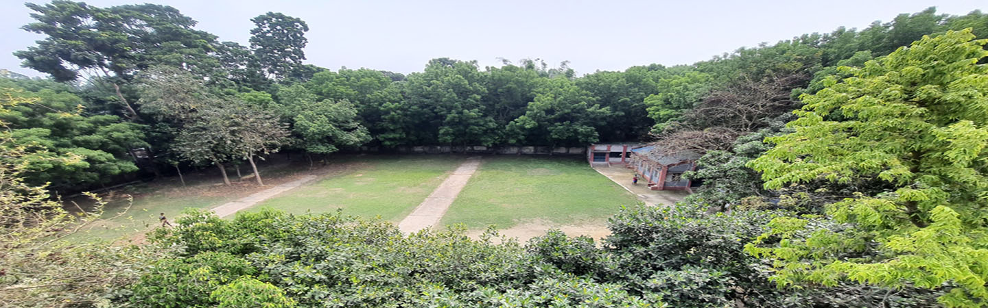Slide 5